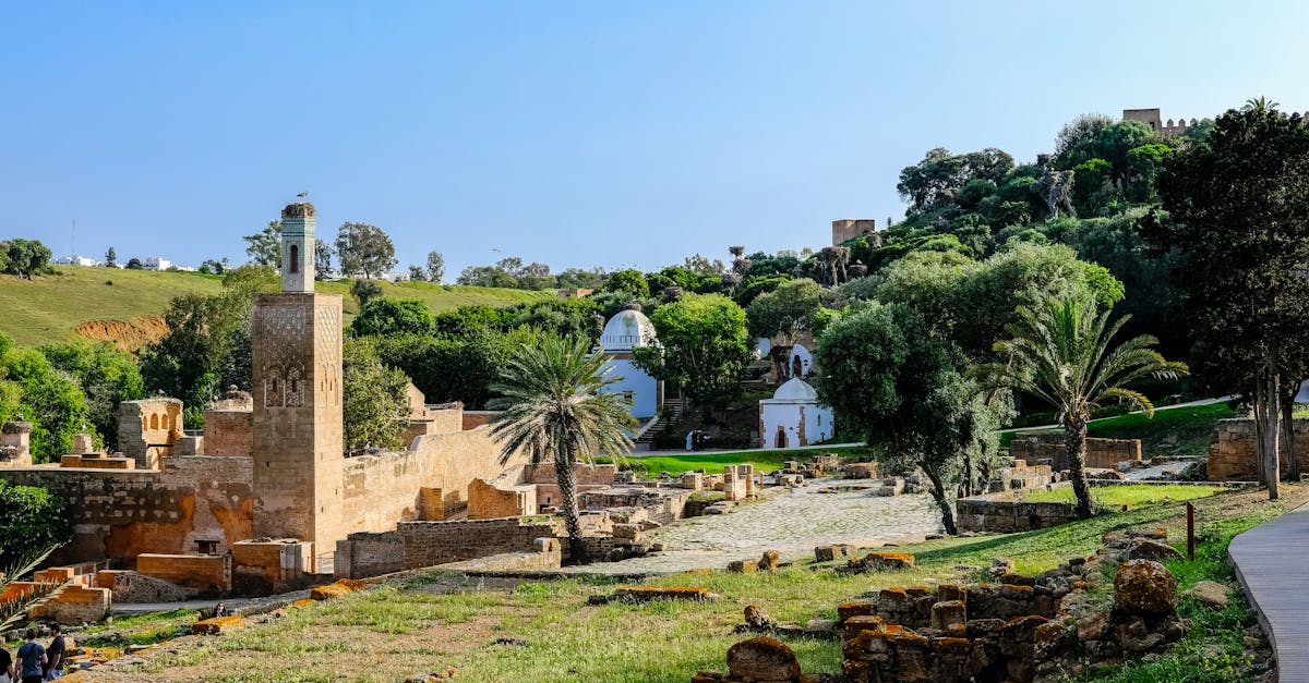 Explore the scenic ruins of Rabat, Morocco, amidst lush greenery and historic architecture.