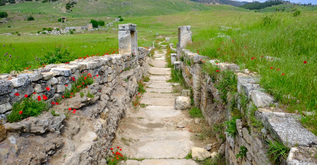 Explore the serene beauty of an ancient stone path amidst lush hills and vibrant wildflowers.