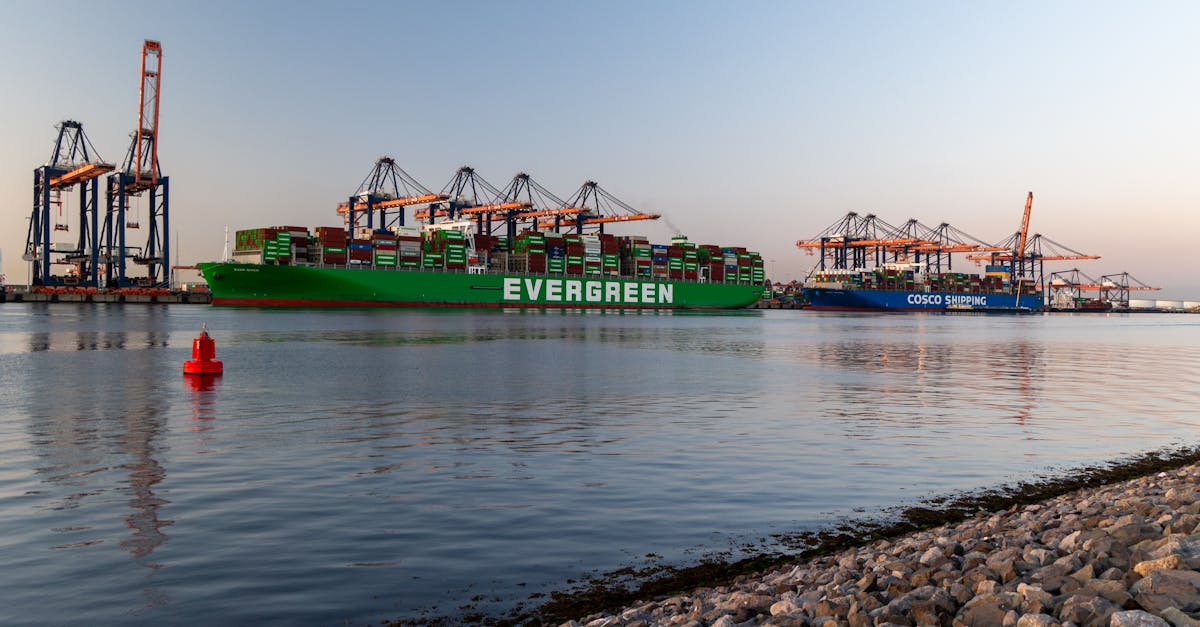 A serene view of container ships docked at the Port of Rotterdam, glowing at sunrise.