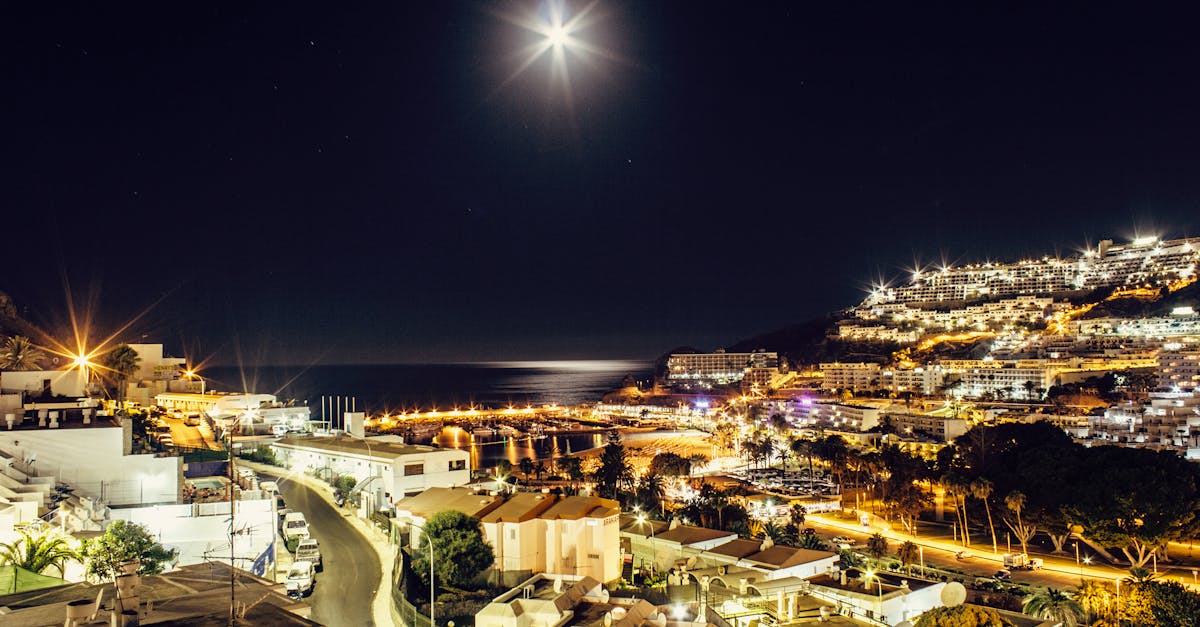 Explore a vibrant city at night with illuminated buildings and ocean reflecting moonlight.