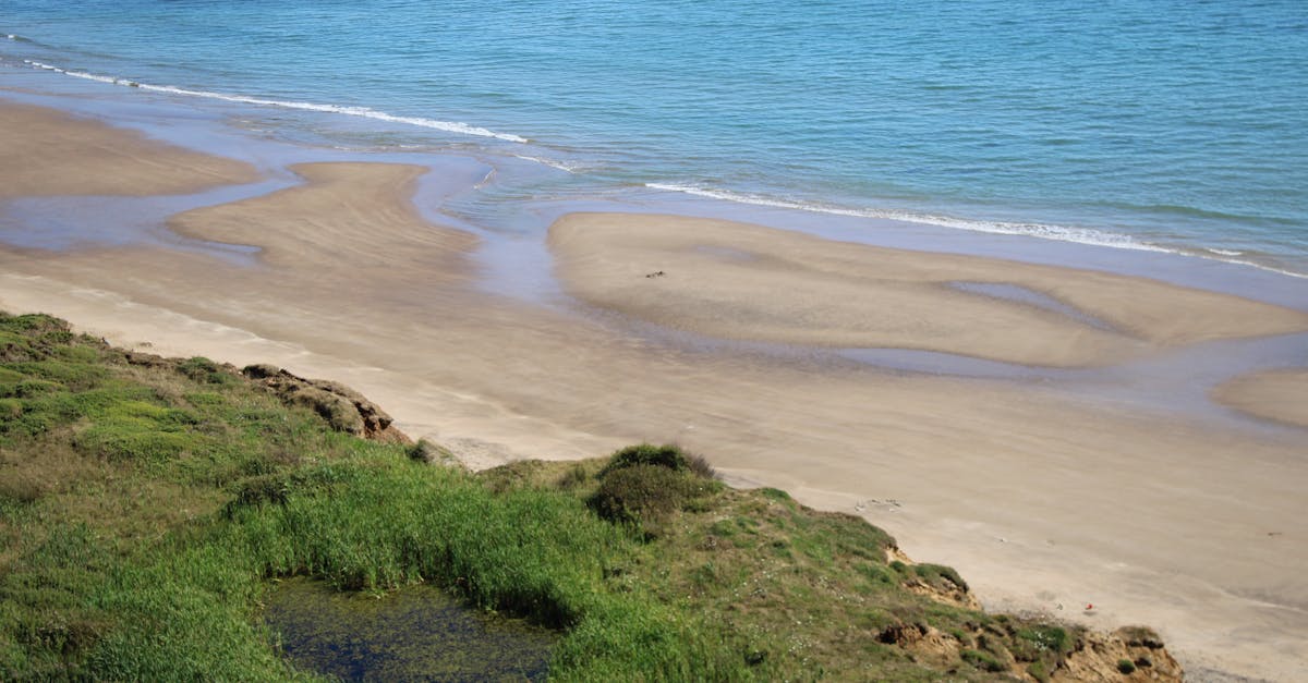 Tranquil seaside view with beach and grassy hills under clear sky.
