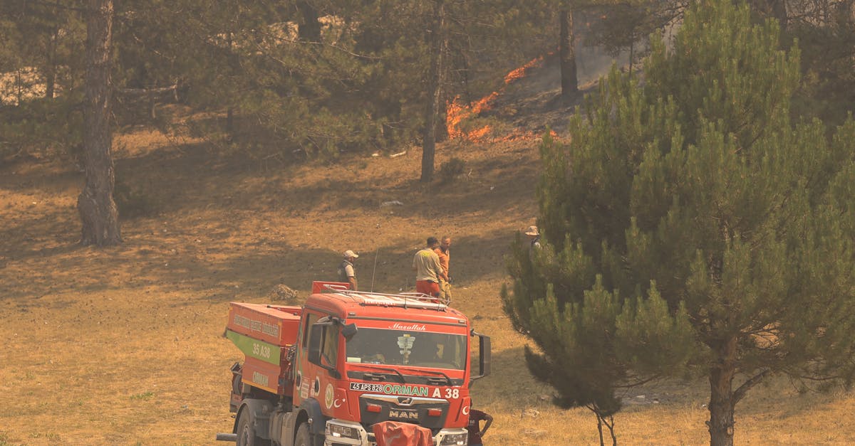 Firefighters and a fire truck handle a forest wildfire under daytime conditions with visible flames.