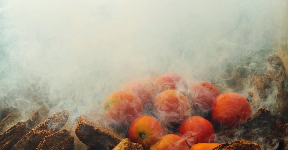 A vibrant depiction of tomatoes being roasted with a smoky atmosphere, capturing the essence of Indian culinary traditions.