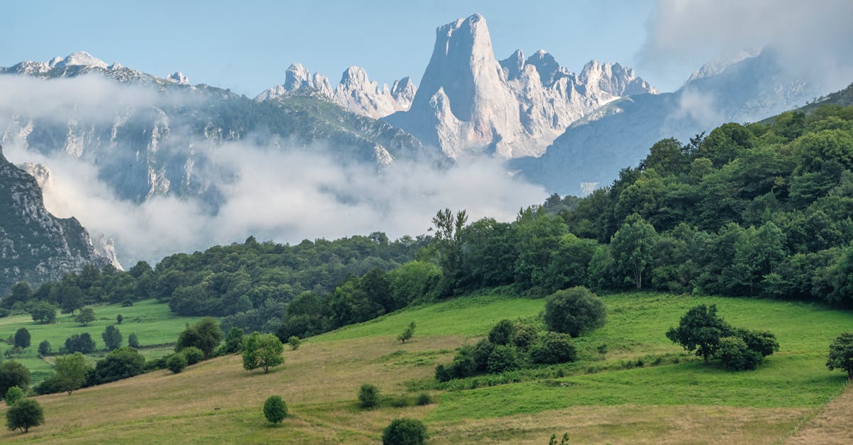 Beautiful landscape of the Picos de Europa mountains with green meadows in Asturias, Spain.
