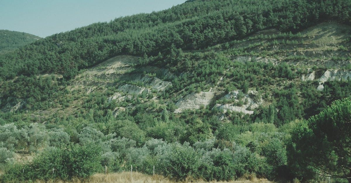 third_section_image_data.image_alt