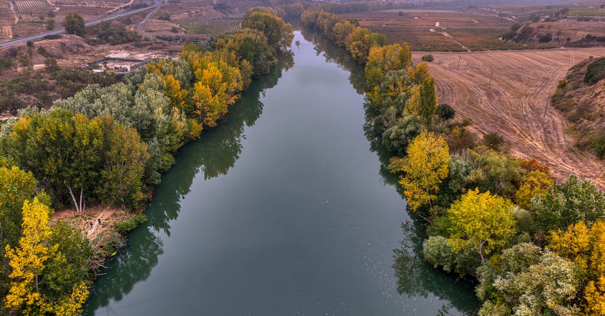 Aerial view of a serene river flowing through autumn foliage in La Rioja, Spain.