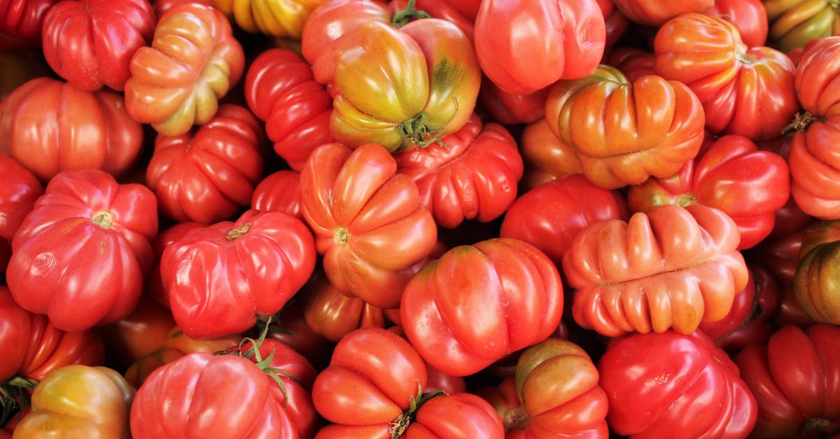 A vibrant collection of heirloom tomatoes showcasing their rich colors and unique shapes.