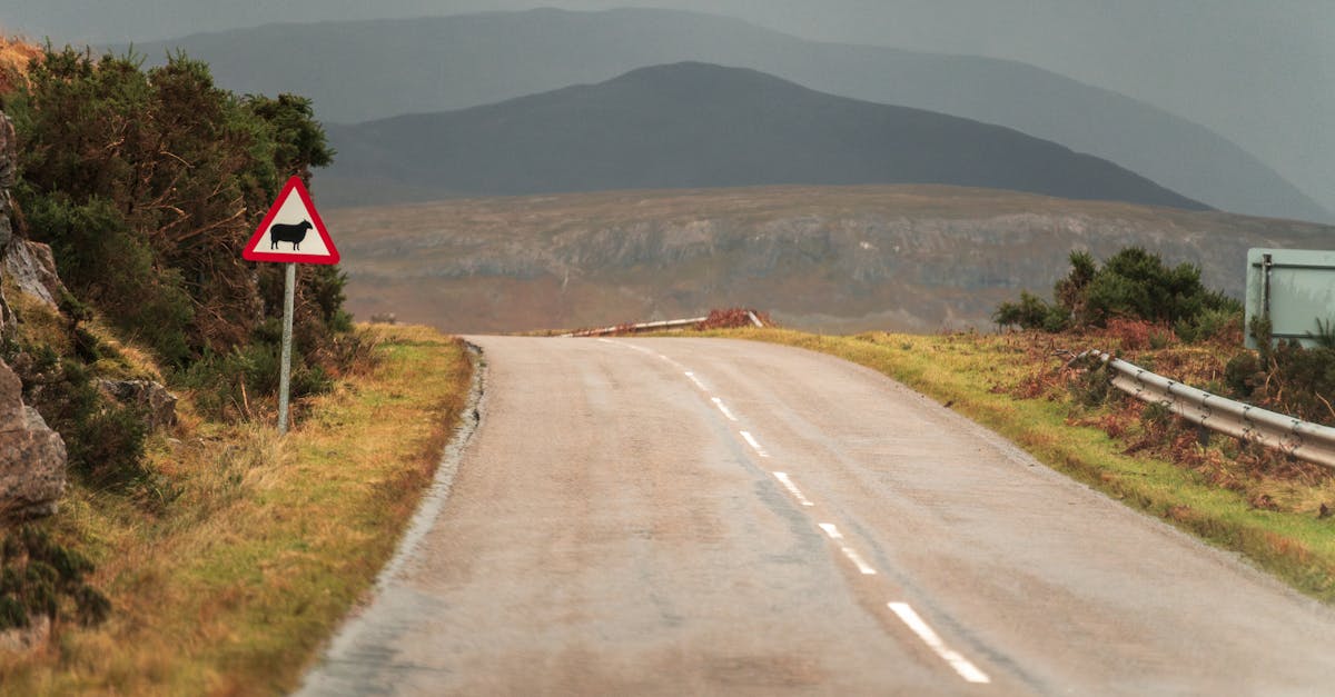 A quiet rural road with a sheep caution sign set against a hilly backdrop suggesting serene countryside travel.