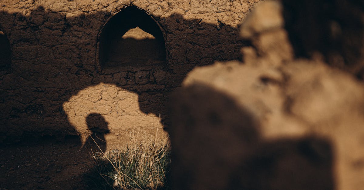 Artistic shadow on mudbrick wall in Oman, capturing historical architecture during sunset.