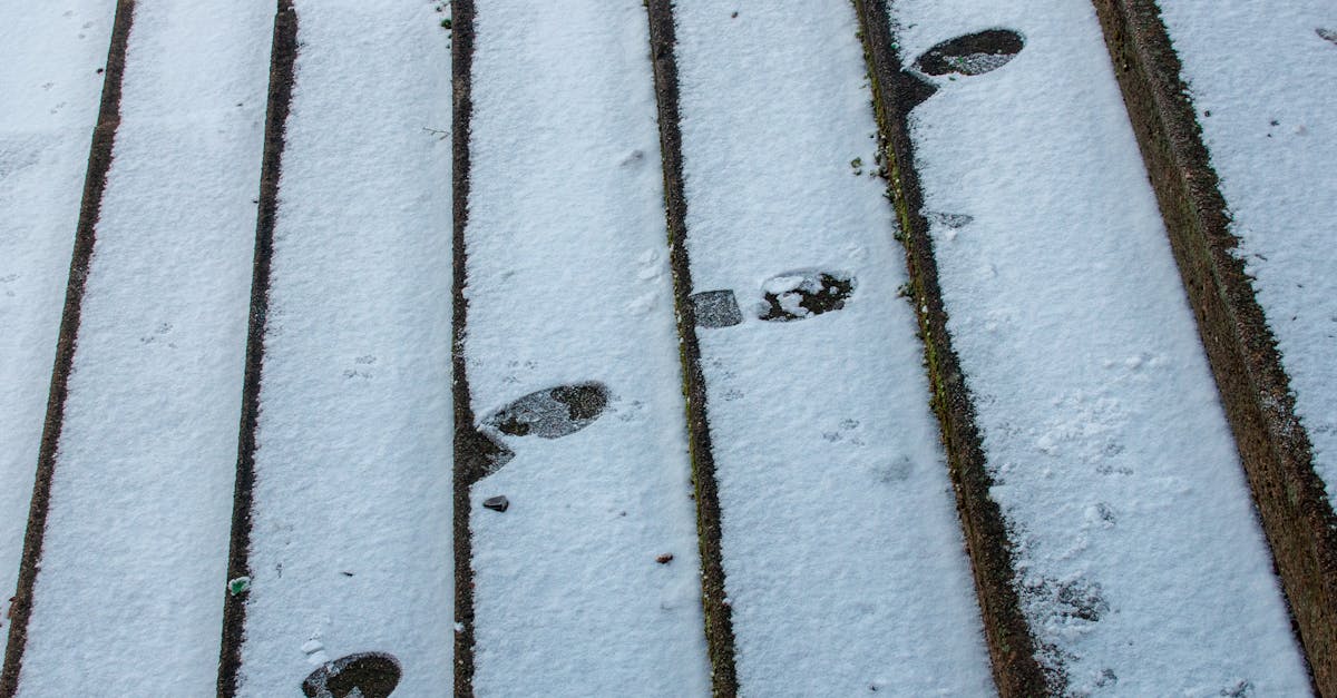 Footprints creating a trail on snow-covered wooden steps. Winter scene.