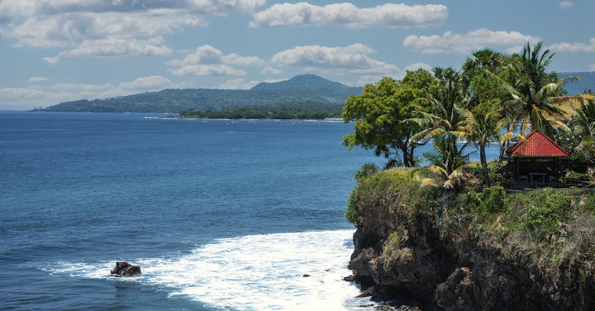 Stunning ocean view from a lush cliffside in Bali, featuring palm trees and vibrant blue waters.