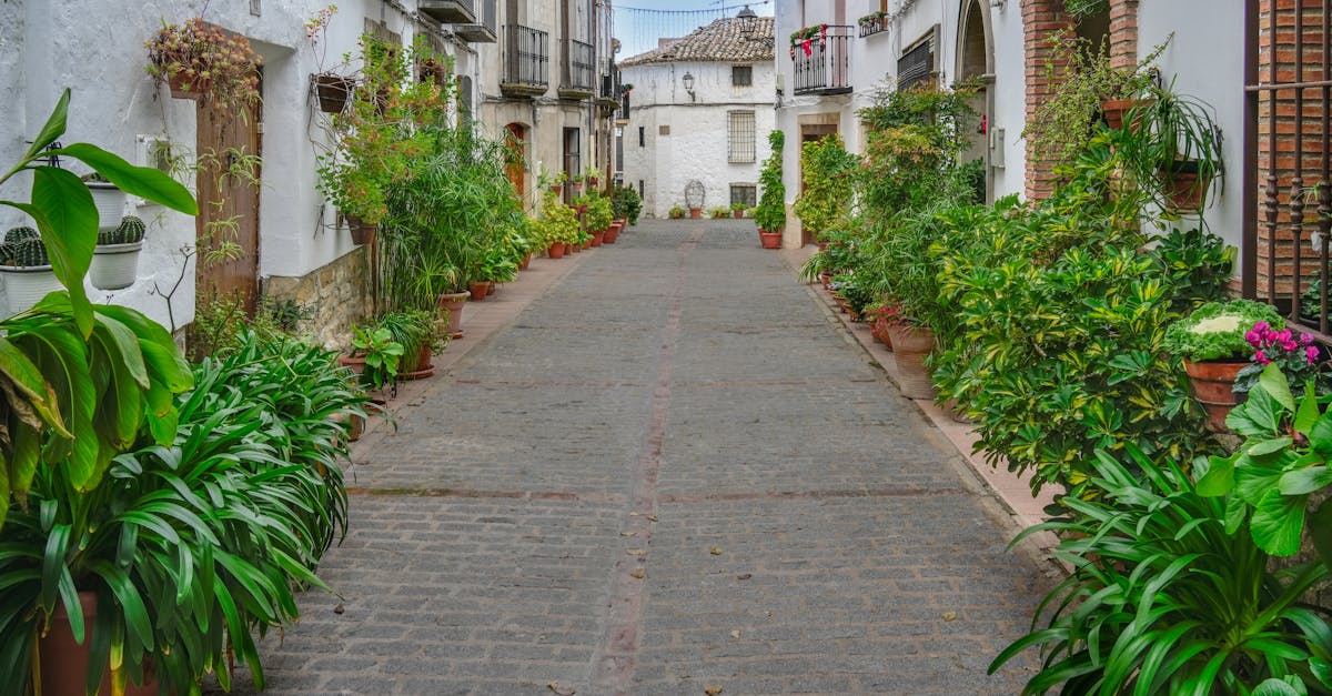 A picturesque alley in Iznatoraf, Andalucía with lush greenery and historic buildings.