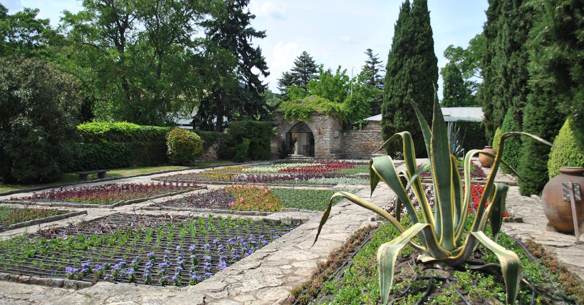 Beautiful stone-lined botanical garden with various plants under a bright spring sky.