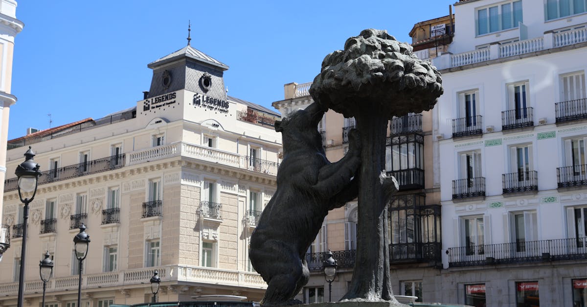 Iconic Bear and Strawberry Tree statue in Madrid's bustling Puerta del Sol.
