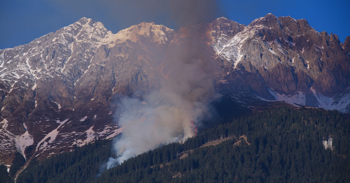 third_section_image_data.image_alt