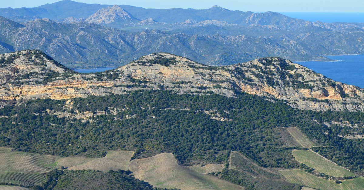 Stunning view of Corsican mountains with lush greenery and rugged terrain under a clear blue sky.