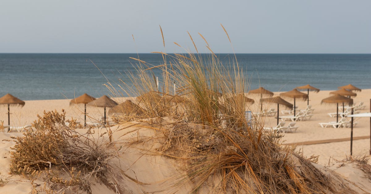 Monte Gordo beach scene with straw parasols, sandy dunes, and tranquil sea view.