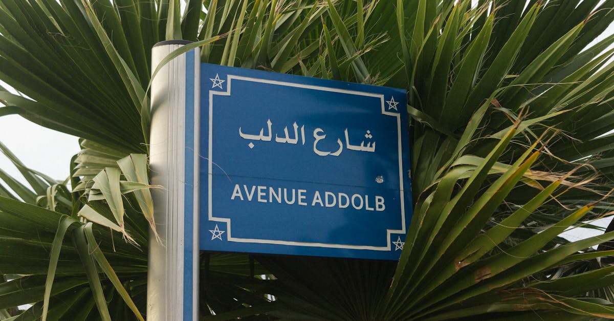 Blue street sign reading Avenue Addolb with palm leaves in the background.