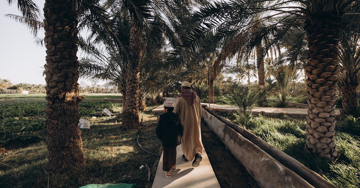 A serene walk through an Omani palm grove with a father and child under the golden light.