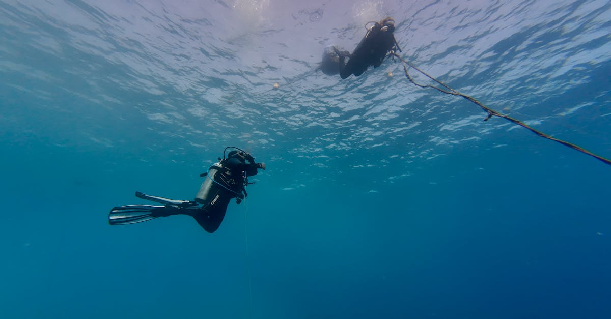 Scuba divers exploring the deep blue ocean, showcasing adventure and freedom underwater.