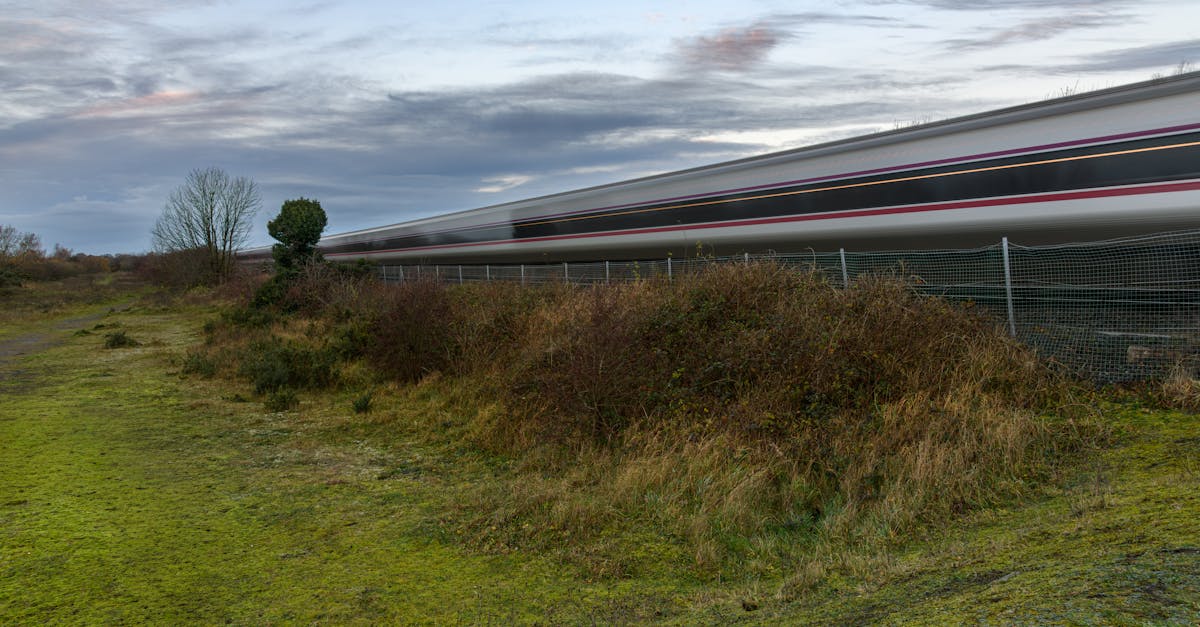 third_section_image_data.image_alt