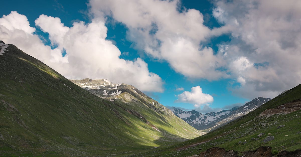 third_section_image_data.image_alt