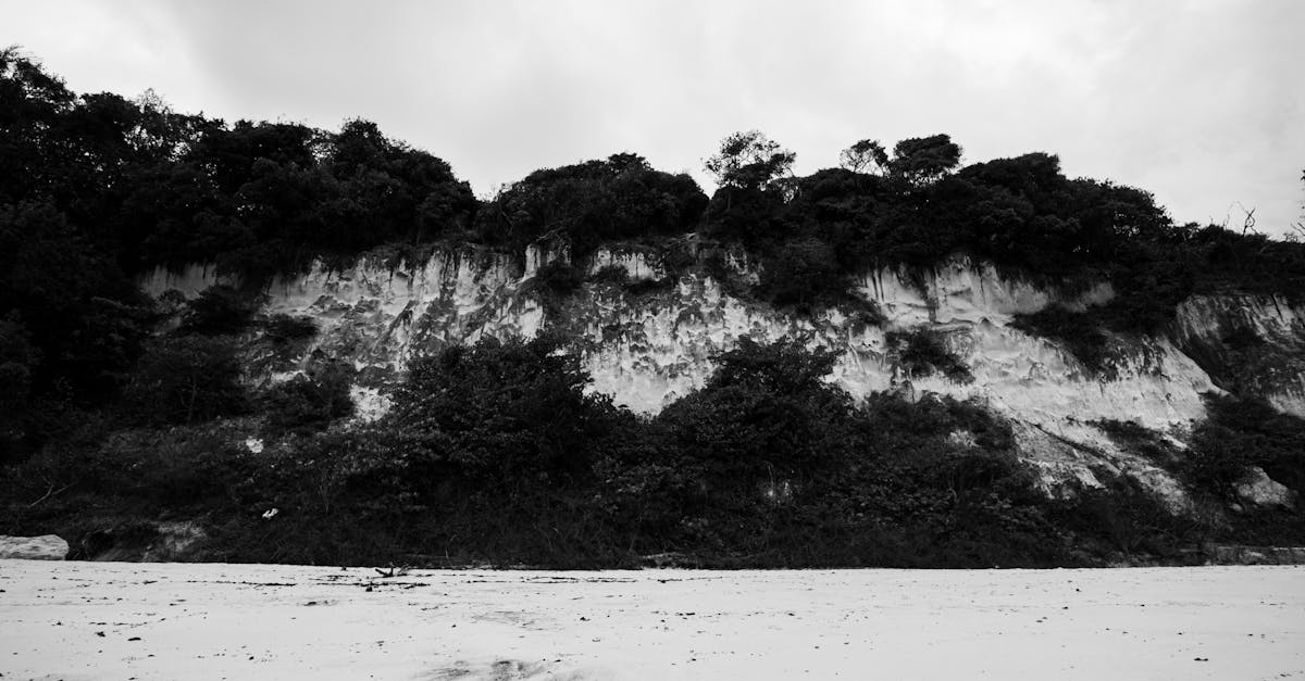 third_section_image_data.image_alt