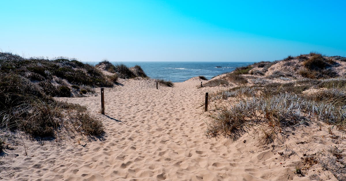 A tranquil pathway leads through sand dunes to the Atlantic Ocean on a sunny day in Vila Nova de Milfontes, Portugal.