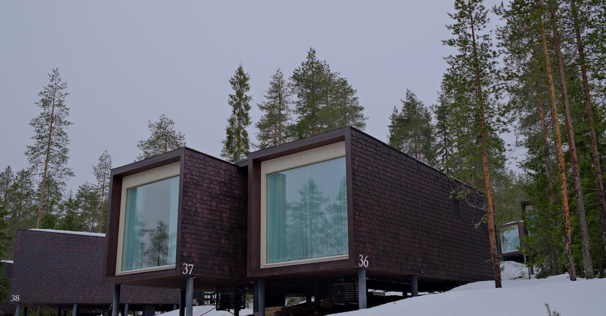 Contemporary cabins in a scenic snowy forest setting, ideal for winter getaways.