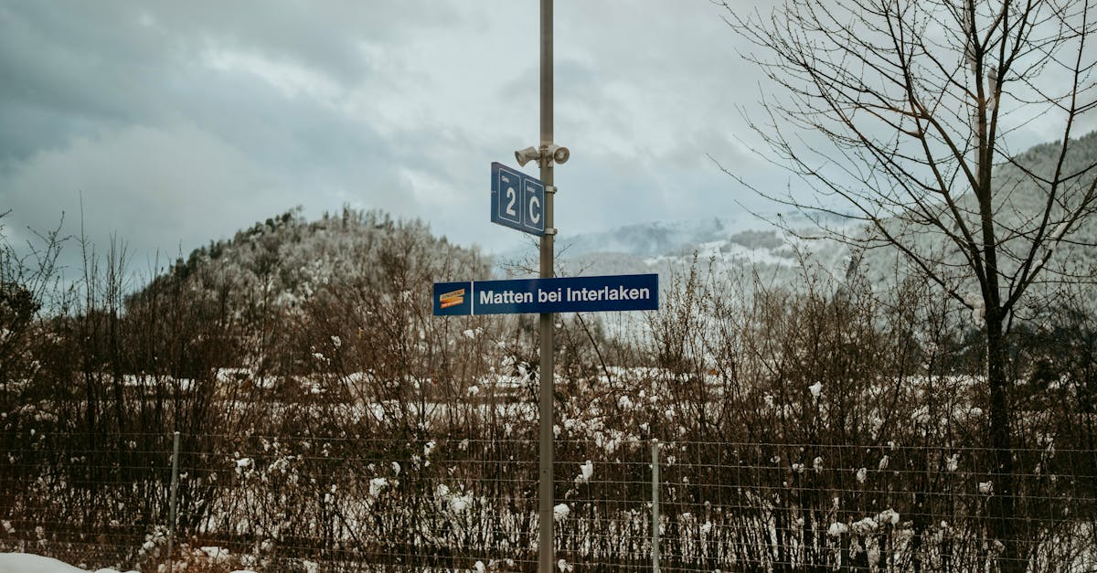 third_section_image_data.image_alt