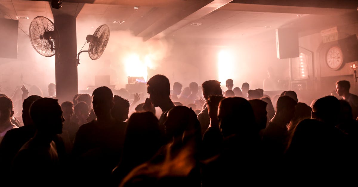 Silhouetted crowd dancing in a smoky nightclub with vibrant lights.