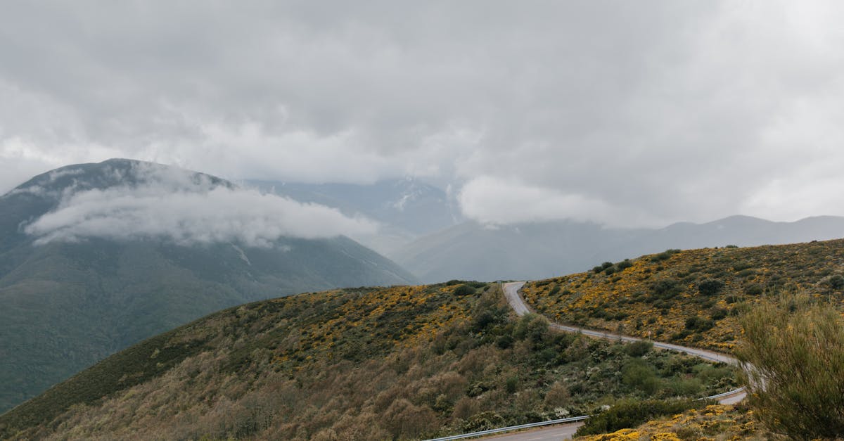 Winding asphalt roadway running through grassy hill covered with grass and shrubs under cloudy sky