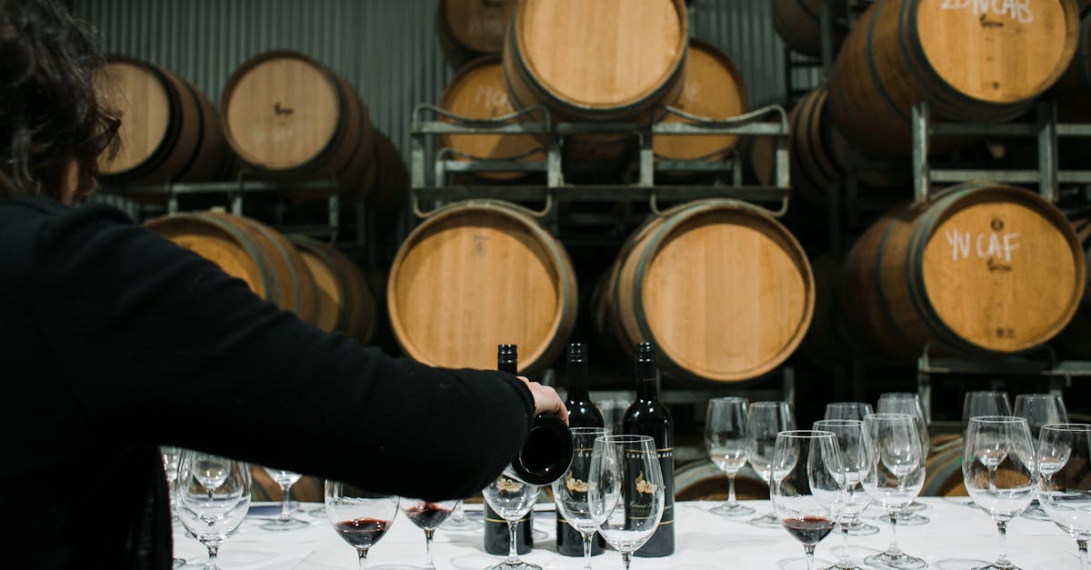 Back view of anonymous sommelier pouring wine from bottle into wineglass while standing at table with glassware in winery against barrels