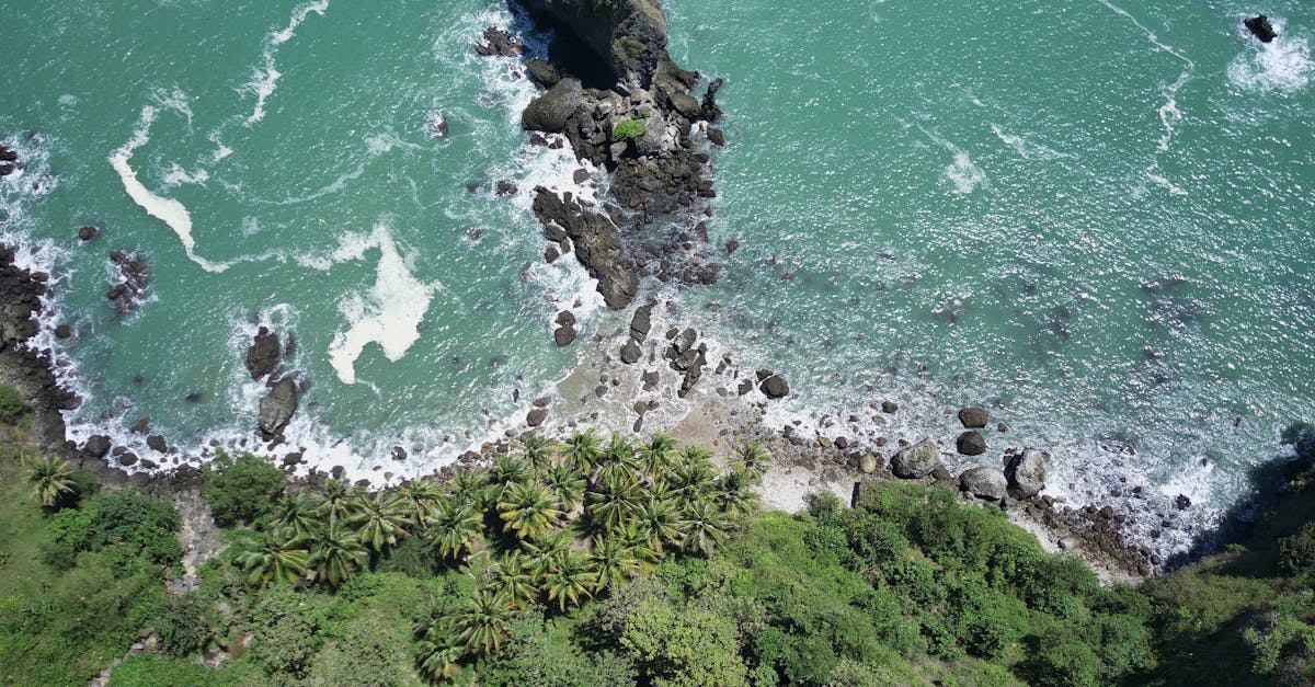 Stunning aerial view of Central Java's rocky shoreline and lush greenery.