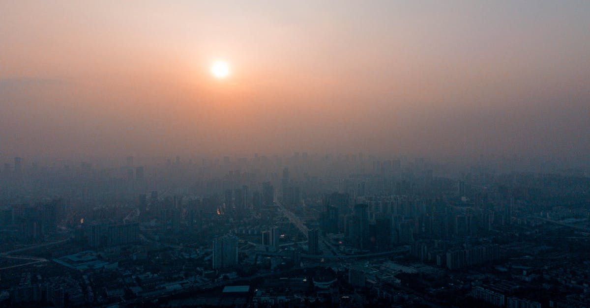 third_section_image_data.image_alt