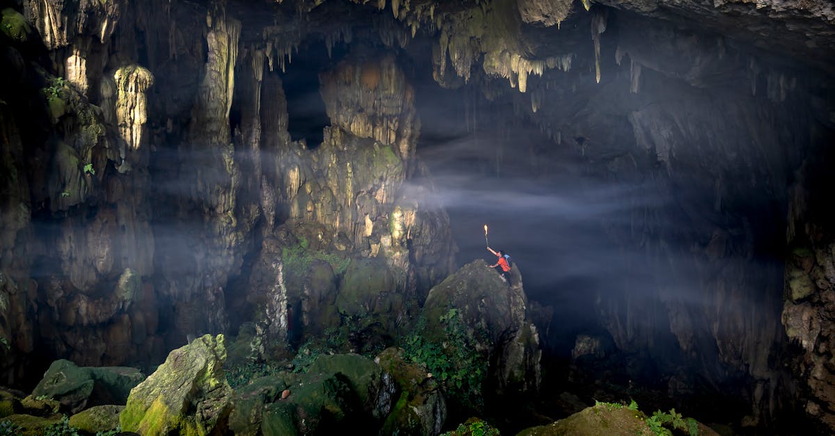 third_section_image_data.image_alt