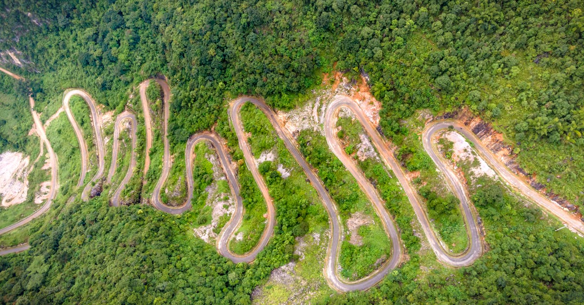 A winding road through a dense forest captured from above, showcasing nature's beauty.