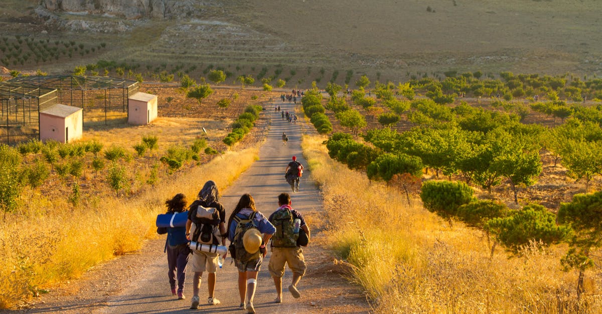 A group of hikers walks down a road through a desert landscape at sunset, capturing the essence of outdoor adventure.