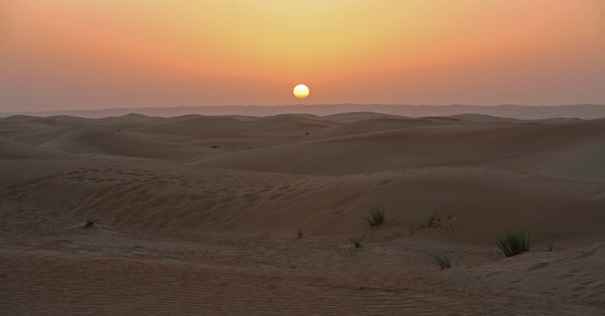Peaceful sunrise over rolling sand dunes in a vast desert landscape.