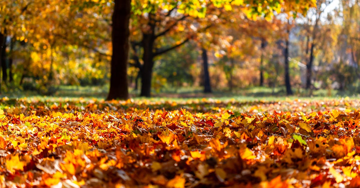 third_section_image_data.image_alt