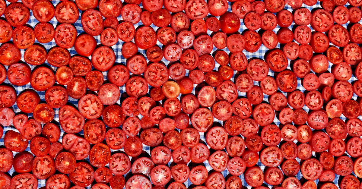 A vibrant top-down view of numerous fresh sliced tomatoes on a checkered background.