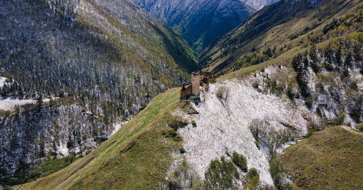third_section_image_data.image_alt