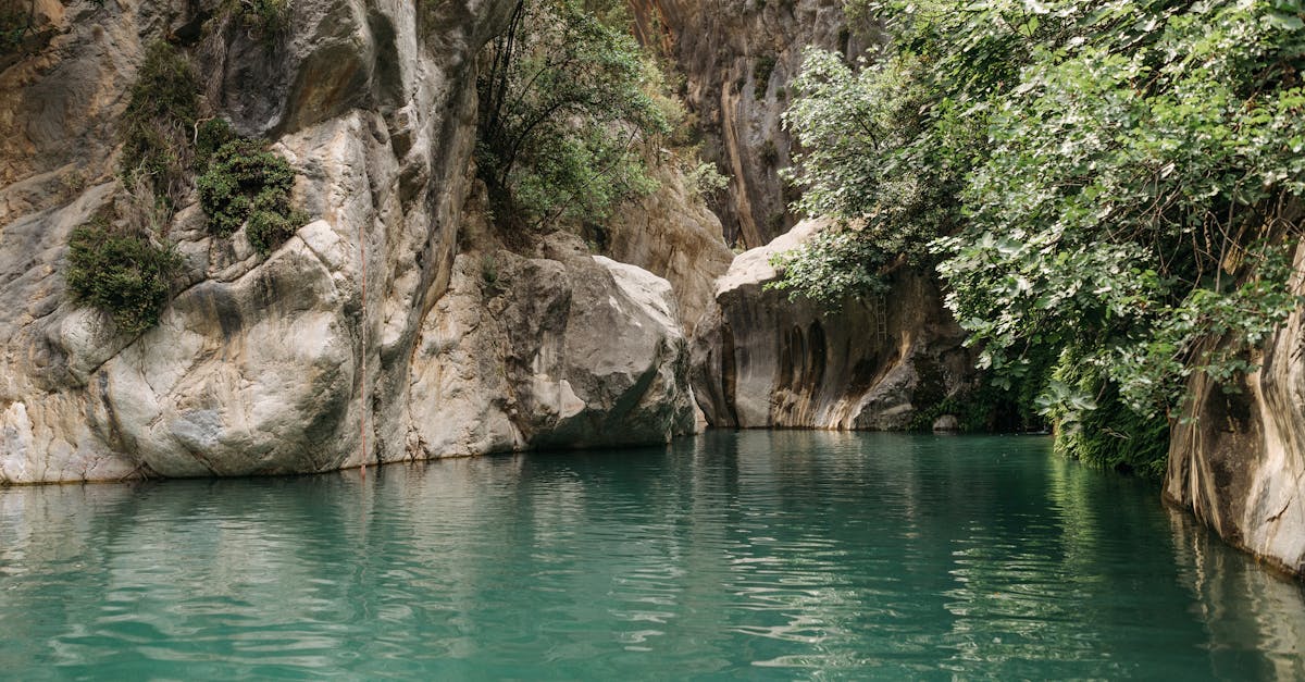 Explore the tranquil setting of a canyon with turquoise waters and lush greenery.