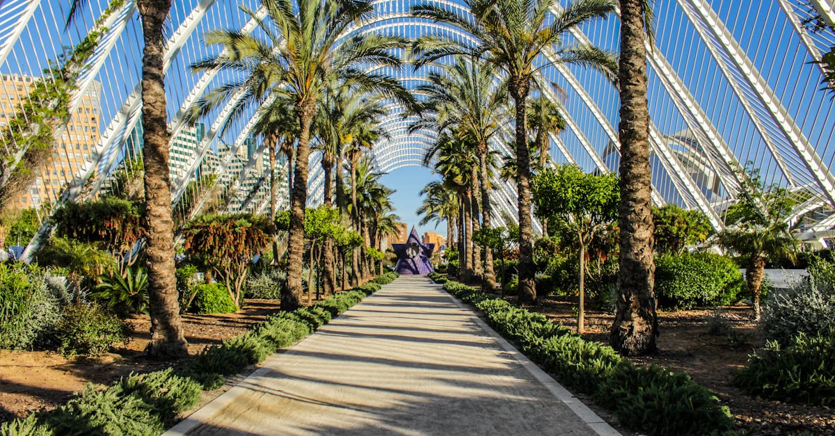 A picturesque view of palm-lined Umbracle in Valencia, showcasing vibrant greenery and architectural elegance.