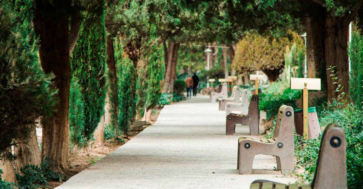 Scenic park walkway shaded by lush trees, featuring multiple benches and a strolling person.